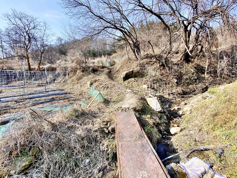 양평군 양서면 증동리 맹지(길이없음>)_13