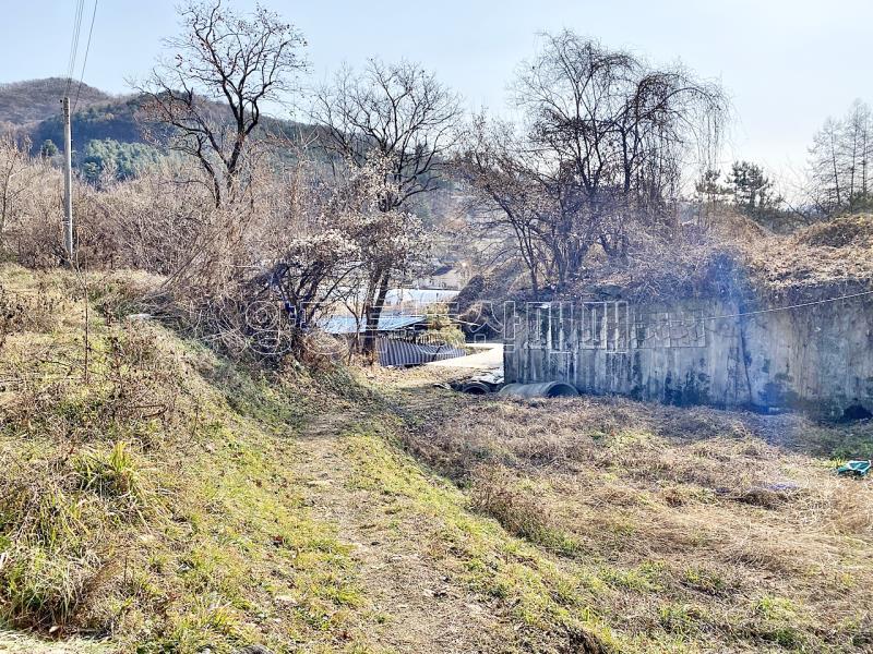 양평군 양서면 증동리 맹지(길이없음>)_14