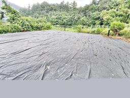 양평군 양서면 증동리 맹지(길이없음>)_썸네일_15