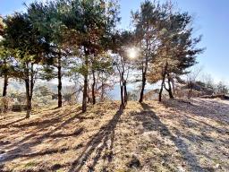 양평군 양서면 토목완료된 토지_썸네일_8