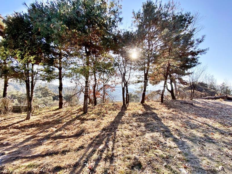 양평군 양서면 토목완료된 토지_8