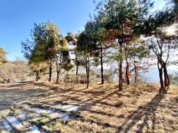 양평군 양서면 토목완료된 토지_썸네일_10