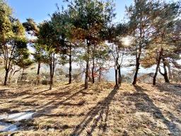 양평군 양서면 토목완료된 토지_썸네일_11