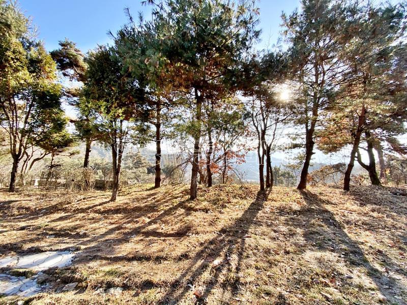 양평군 양서면 토목완료된 토지_11