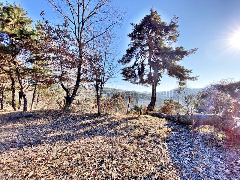 양평군 양서면 토목완료된 토지_14