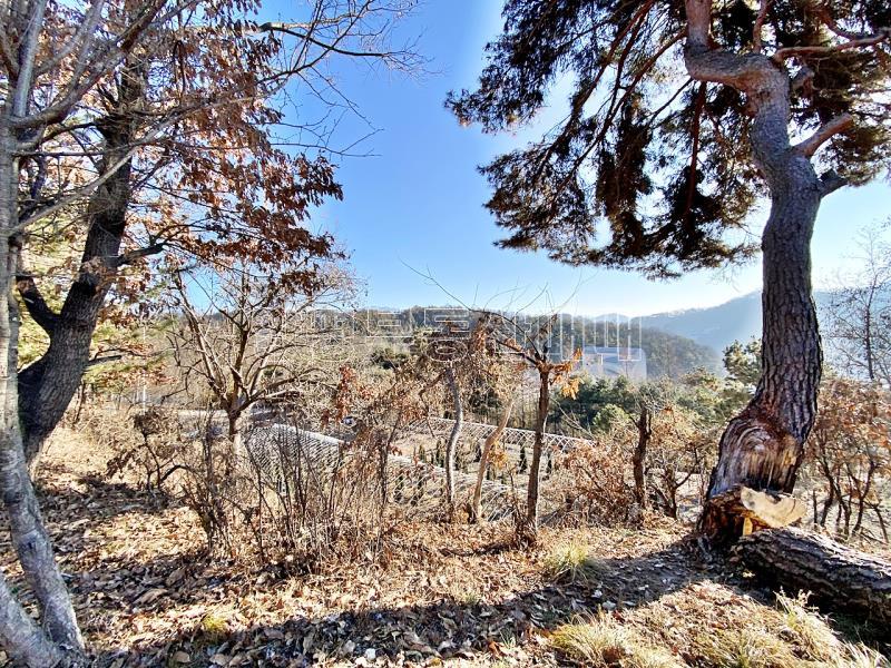 양평군 양서면 토목완료된 토지_16