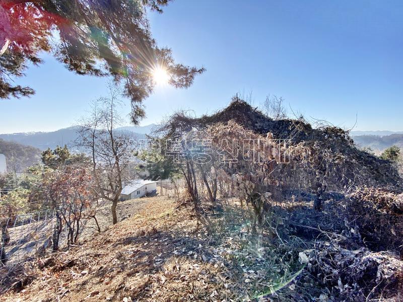 양평군 양서면 토목완료된 토지_17