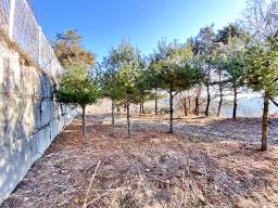 양평군 양서면 토목완료된 토지_썸네일_21