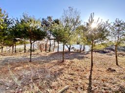 양평군 양서면 토목완료된 토지_썸네일_22