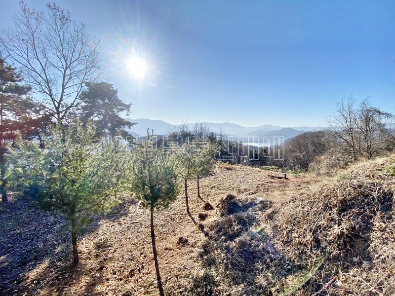 양평군 양서면 토목완료된 토지_24