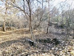 경기도 광주시 퇴촌면 도수리 평지_썸네일_6