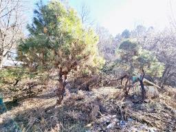 경기도 광주시 퇴촌면 도수리 평지_썸네일_12