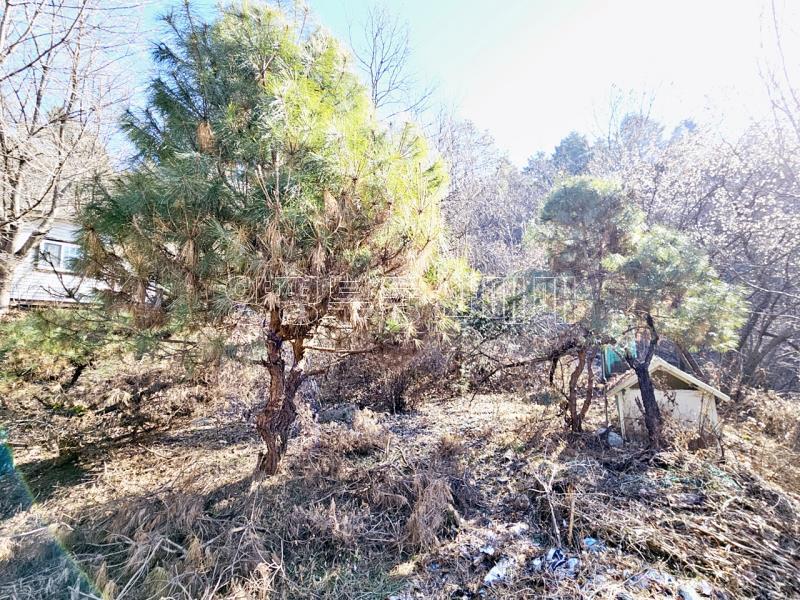 경기도 광주시 퇴촌면 도수리 평지_12