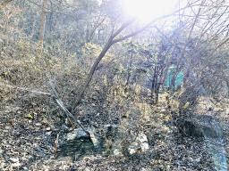 경기도 광주시 퇴촌면 도수리 평지_썸네일_13