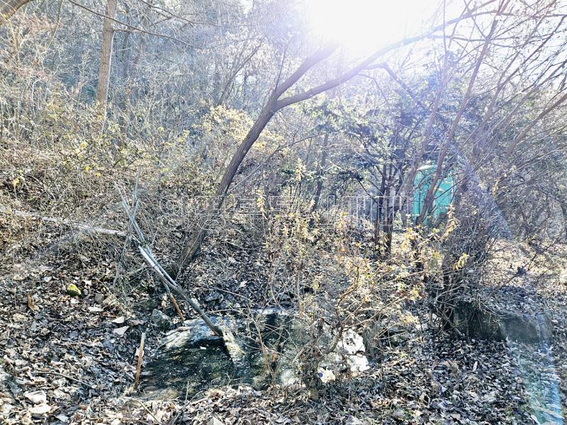 경기도 광주시 퇴촌면 도수리 평지_13