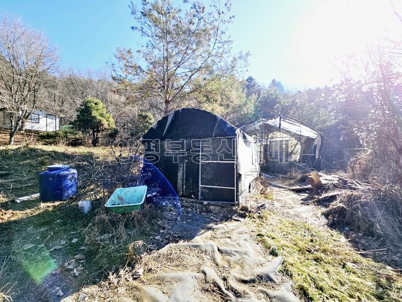 경기도 광주시 퇴촌면 도수리 평지_18