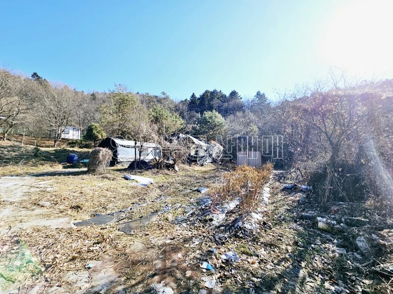 경기도 광주시 퇴촌면 도수리 평지_19