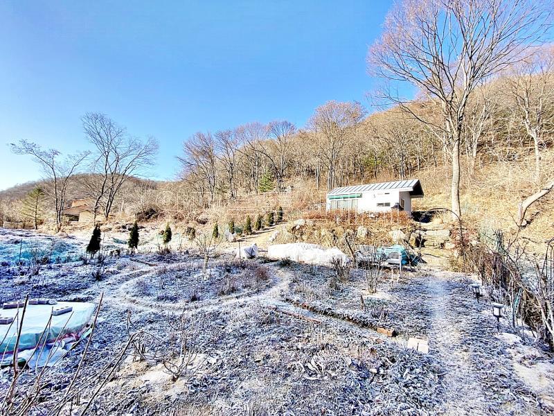 양평군 양서면 증동리 깊은 산속 공기,물좋은곳_6