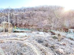 양평군 양서면 증동리 깊은 산속 공기,물좋은곳_썸네일_8