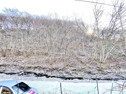 양평군 양서면 증동리 깊은 산속 공기,물좋은곳_썸네일_16