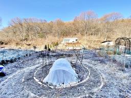 양평군 양서면 증동리 깊은 산속 공기,물좋은곳_썸네일_17