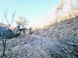 양평군 양서면 신원리 과수원자리 매매_썸네일_2