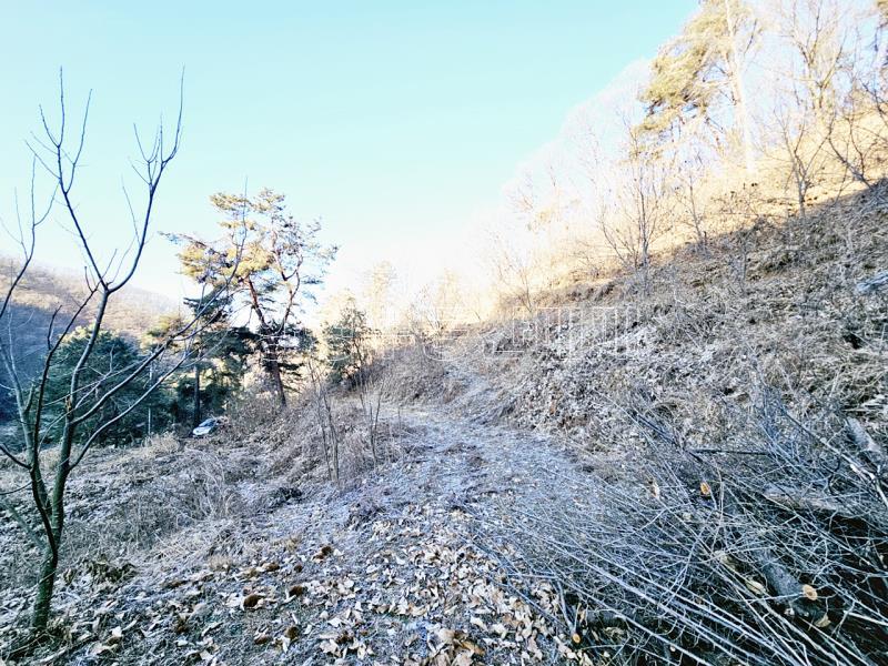 양평군 양서면 신원리 과수원자리 매매_2