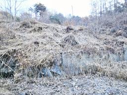 양평군 양서면 신원리 과수원자리 매매_썸네일_3