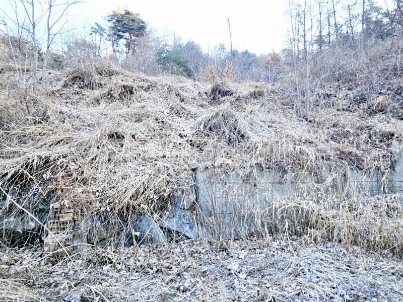 양평군 양서면 신원리 과수원자리 매매_3