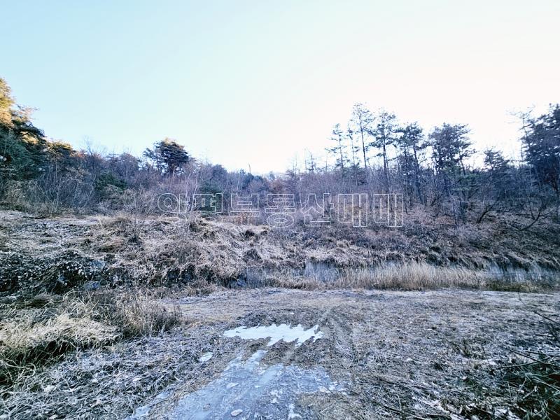 양평군 양서면 신원리 과수원자리 매매_4