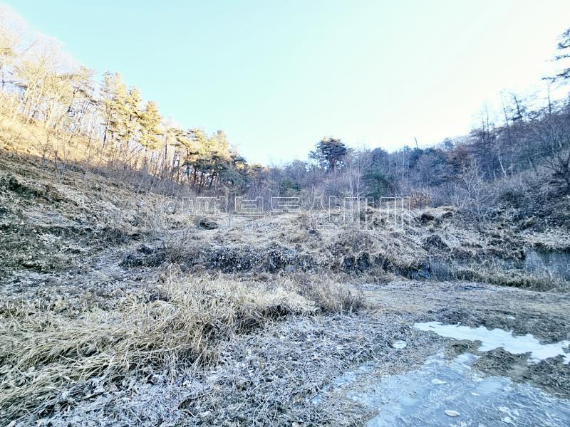 양평군 양서면 신원리 과수원자리 매매_5