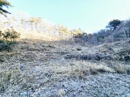 양평군 양서면 신원리 과수원자리 매매_썸네일_6