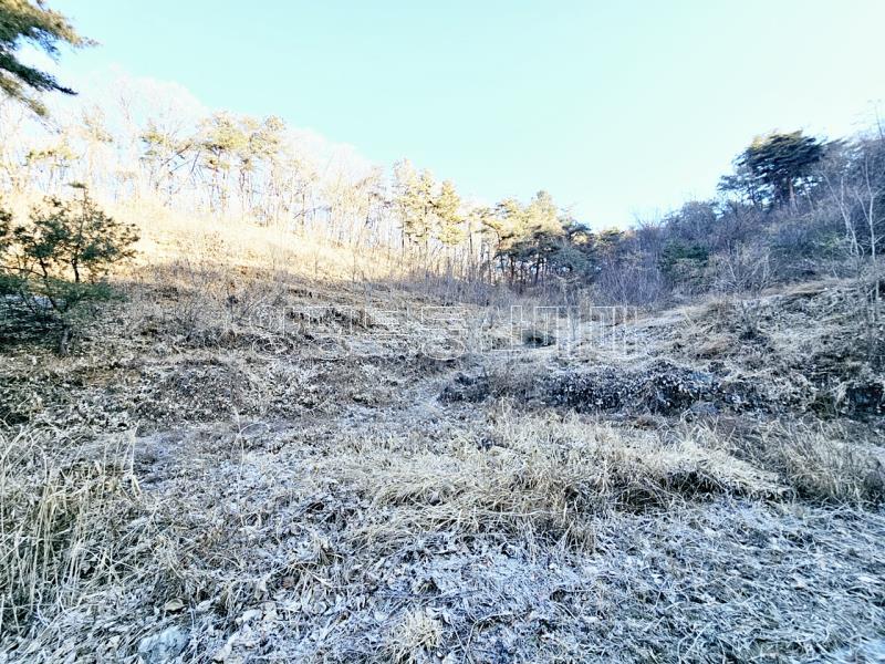 양평군 양서면 신원리 과수원자리 매매_6