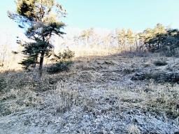 양평군 양서면 신원리 과수원자리 매매_썸네일_7