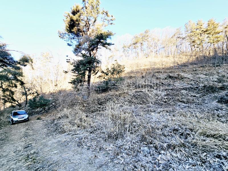 양평군 양서면 신원리 과수원자리 매매_8