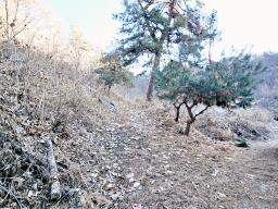 양평군 양서면 신원리 과수원자리 매매_썸네일_9