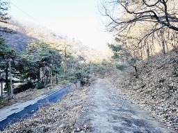 양평군 양서면 신원리 과수원자리 매매_썸네일_10