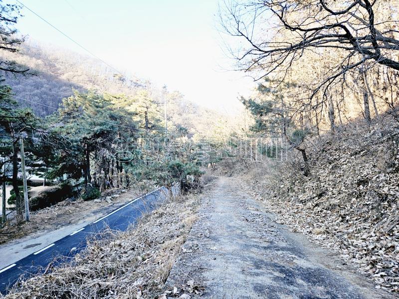 양평군 양서면 신원리 과수원자리 매매_10