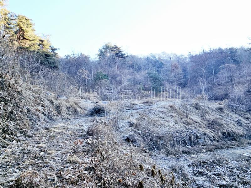 양평군 양서면 신원리 과수원자리 매매_11