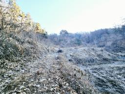 양평군 양서면 신원리 과수원자리 매매_썸네일_12