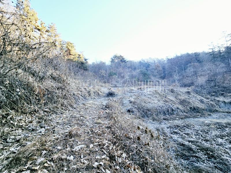 양평군 양서면 신원리 과수원자리 매매_12