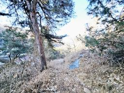 양평군 양서면 신원리 과수원자리 매매_썸네일_13