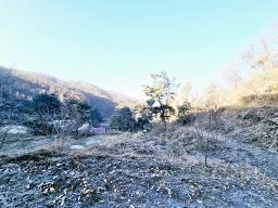 양평군 양서면 신원리 과수원자리 매매_썸네일_14