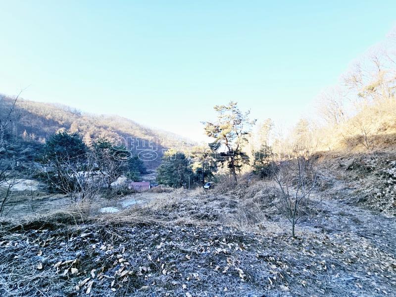 양평군 양서면 신원리 과수원자리 매매_14