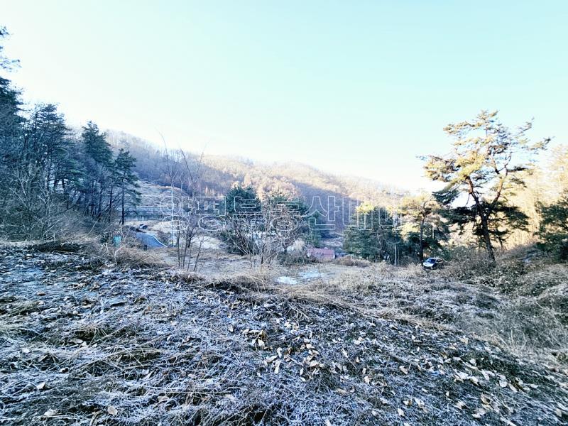 양평군 양서면 신원리 과수원자리 매매_15