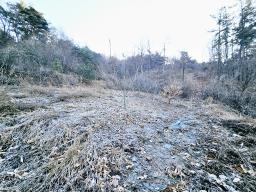 양평군 양서면 신원리 과수원자리 매매_썸네일_16