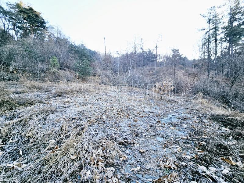 양평군 양서면 신원리 과수원자리 매매_16