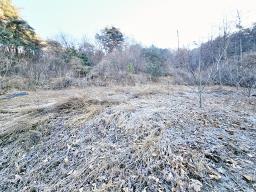 양평군 양서면 신원리 과수원자리 매매_썸네일_17