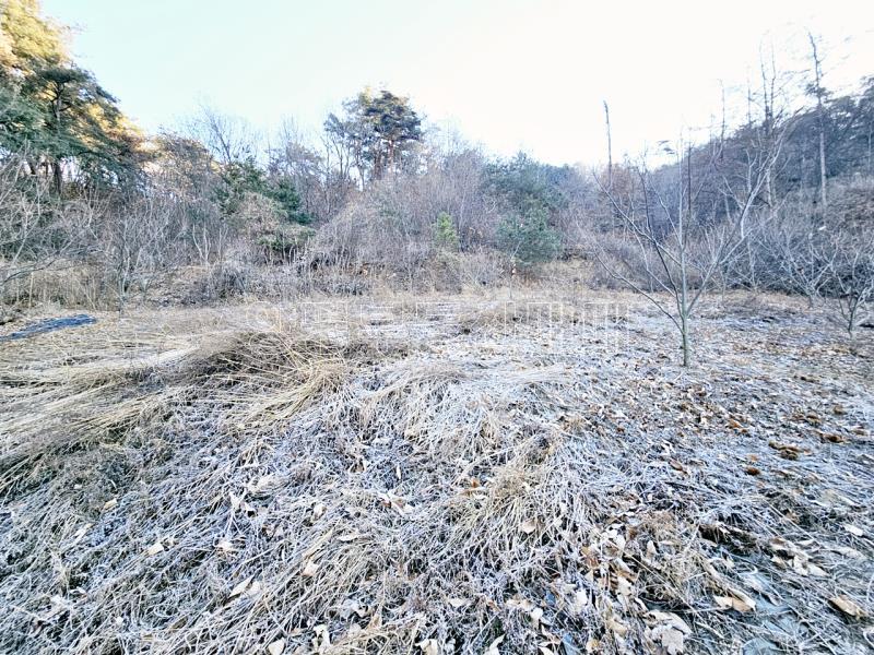 양평군 양서면 신원리 과수원자리 매매_17