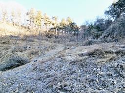 양평군 양서면 신원리 과수원자리 매매_썸네일_18